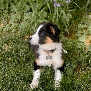 Meet your Posher, Kellsie